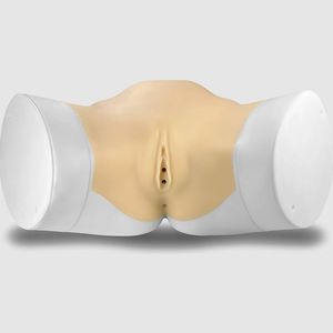 modello anatomico endometriale