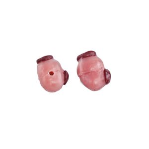 modello anatomico di ovaia