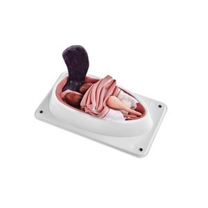 simulatore di sterilizzazione canina