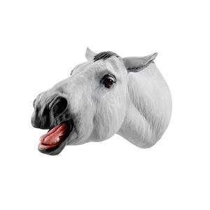 modello anatomico di bocca 1