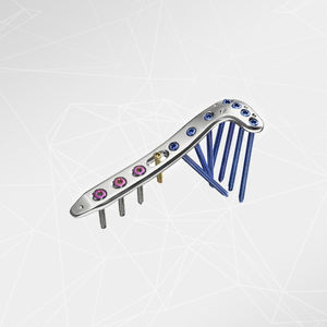 placca di compressione per tibia 1