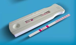 test rapido dell'infarto del miocardio / cTnI / di sangue totaled / siero