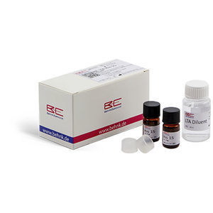 kit di reagenti in soluzione 1