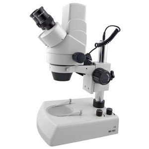 microscopio digitale