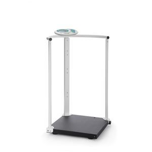 sistema di pesatura elettronico 1