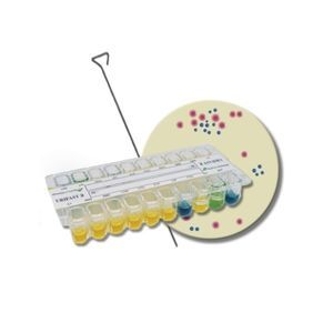test rapido per test di sensibilità agli antibiotici