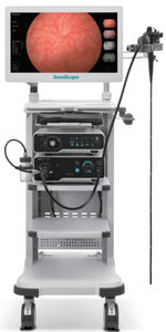 colonna endoscopica 1
