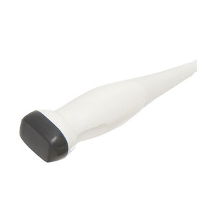 sonda ecografica phased array 1