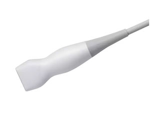 sonda ecografica phased array 1