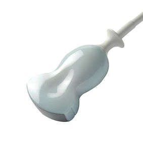 sonda ecografica convessa