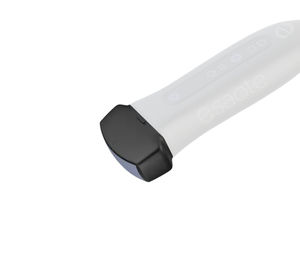 sonda ecografica convessa