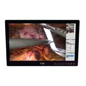 monitor per endoscopia