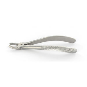 pinza per estrazione denti per molari 1