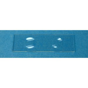 vetrino per microscopio 1