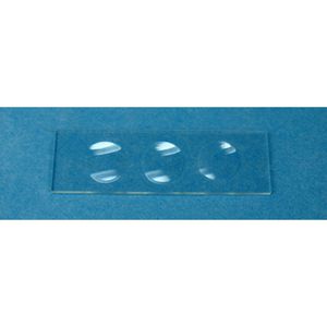 vetrino per microscopio 1