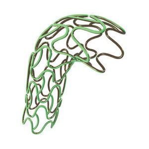 stent coronarico