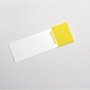 vetrino per microscopio 1