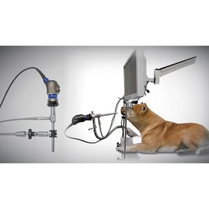 telecamera veterinaria