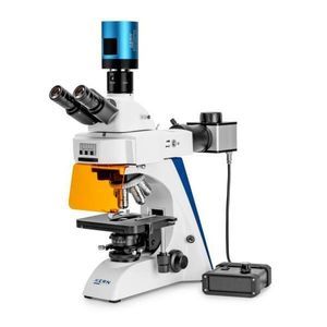 microscopio digitale
