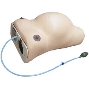 manichino didattico di gravidanza / di cardiotocografia / torso