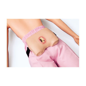 modello anatomico corpo