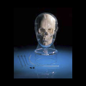 phantom di calibrazione per MRI