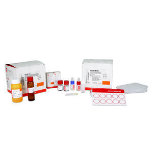 kit di test per malattie infettive