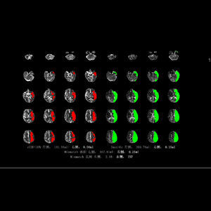 software diagnostico 1