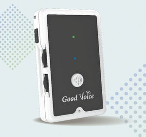 schermo e-paper per l’audizione 1
