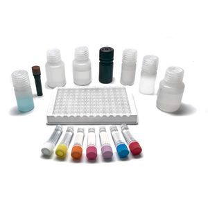 kit di test delle intolleranze alimentari 1