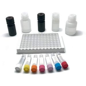 kit di test delle intolleranze alimentari 1