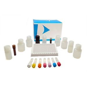 kit di test delle intolleranze alimentari 1