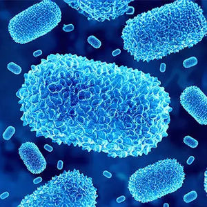 kit di test mpox 1