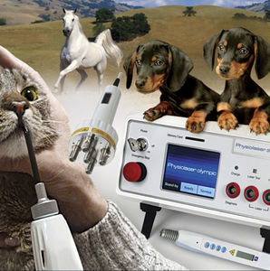 laser per agopuntura veterinaria / a diodo / da tavolo