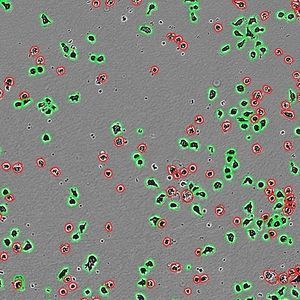 modulo software per imaging cellulare