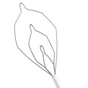 cestello endoscopico per estrazione di polipi intestinali 1