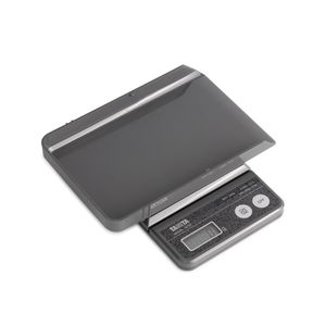 bilancia elettronica 1