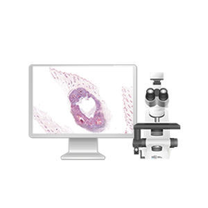 sistema di imaging cellulare automatico
