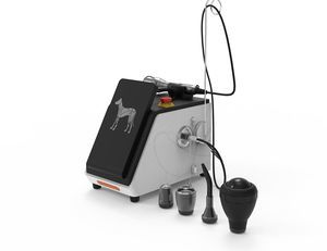 laser per fotostimolazione veterinaria per riabilitazione 1