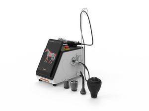 laser veterinario per chirurgia veterinaria 1