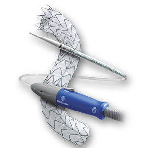 innesto stent aorta toracica / in nitinol