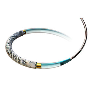 stent coronarico / a rilascio di farmaci