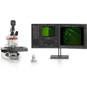 microscopio a fluorescenza 1