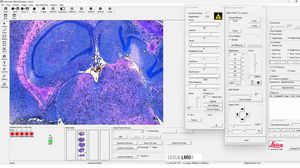 software medico 1