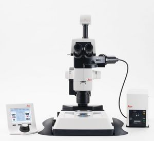 stereomicroscopio da laboratorio / digitale / binoculare / a fluorescenza
