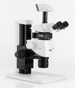 stereomicroscopio da laboratorio / digitale / binoculare / con zoom