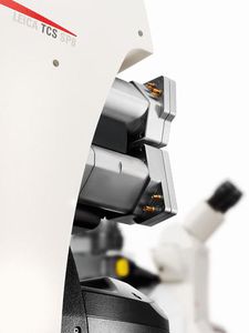 microscopio da laboratorio / ottico / confocale a scansione laser