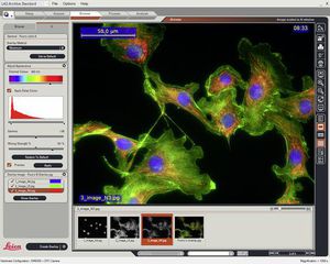 software di visualizzazione