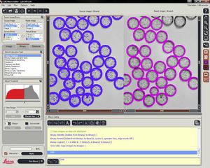 software di visualizzazione 1