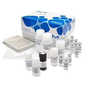 kit di test da ricerca